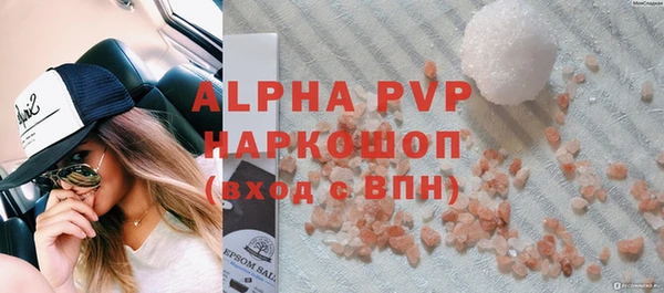 молекула духа Волоколамск