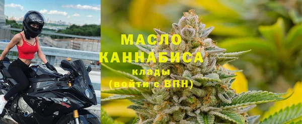 молекула духа Волоколамск