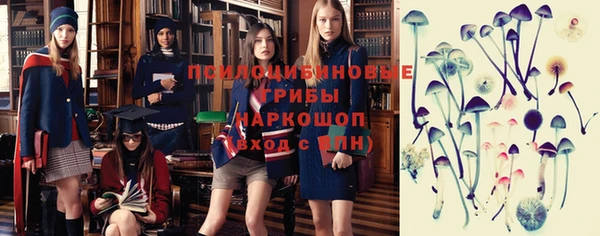 молекула духа Волоколамск