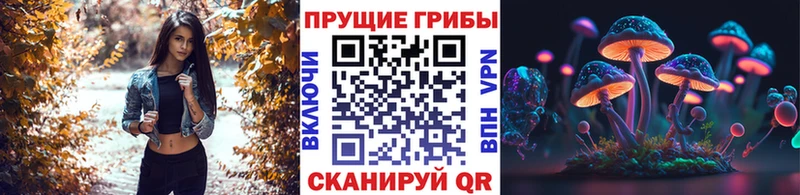 Галлюциногенные грибы прущие грибы  MEGA как войти  Кыштым  где найти наркотики 